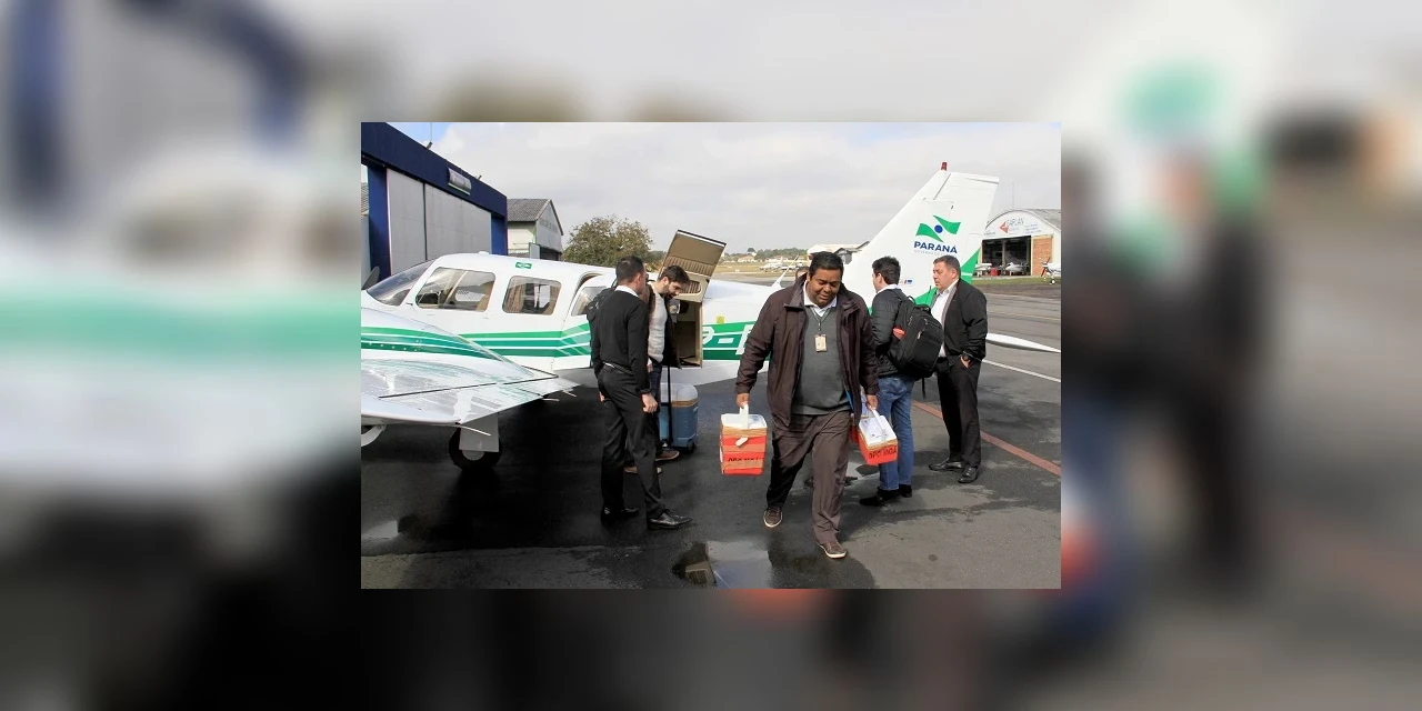 Mesmo em período de pandemia, Paraná mantém a liderança de transplante de órgãos no Brasil