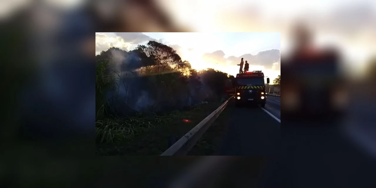 Vídeo: Incêndio nas margens de rodovia em Ponta Grossa mobiliza Corpo de Bombeiros