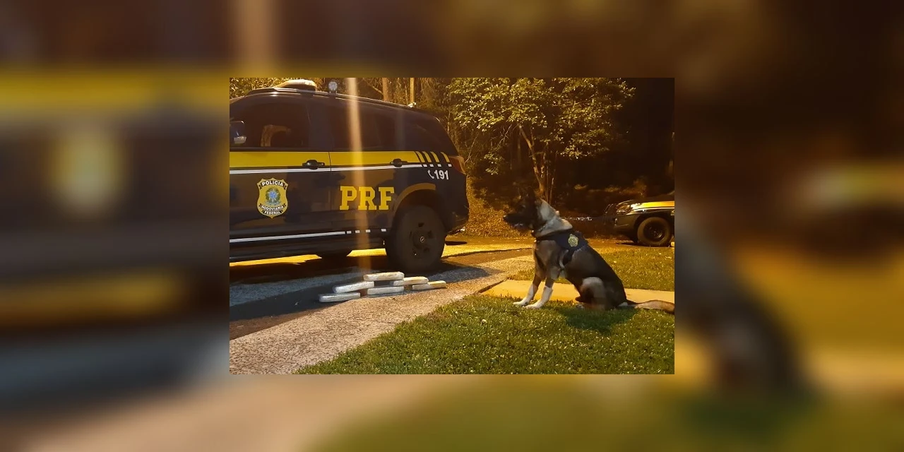 Vídeo: Ação da PRF apreende drogas, armas, mercadorias ilegais e munições no Paraná