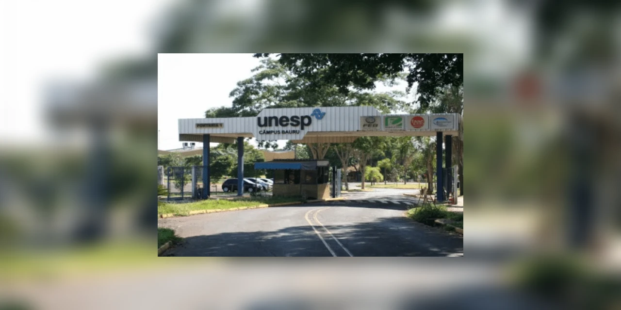 Pesquisadores da Unesp desenvolvem aplicativo para monitoramento da disseminação da Covid-19