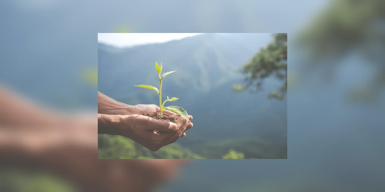 Semana do Meio Ambiente 2020 começa nesta segunda (01) com programação online