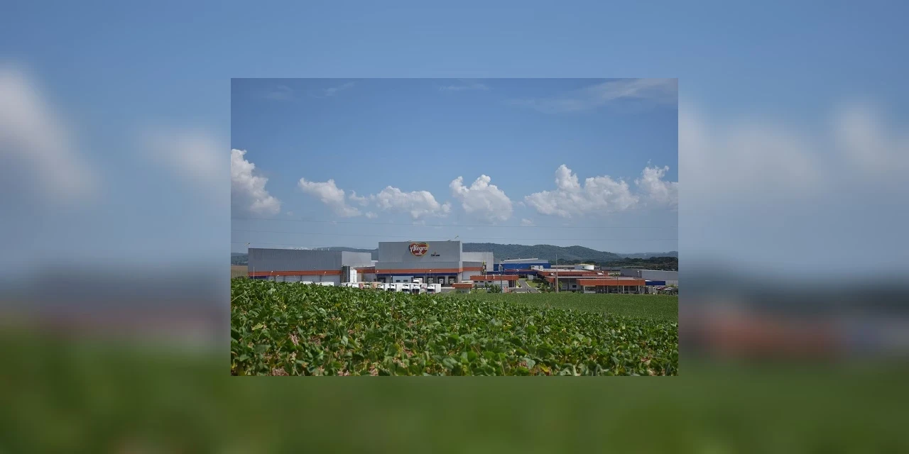 Alegra propõe projetos pioneiros para gerir consumo de água na fábrica; saiba como funciona!