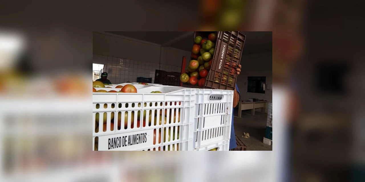 Ceasa já distribuiu cerca de 970 toneladas de alimentos para famílias e instituições sociais