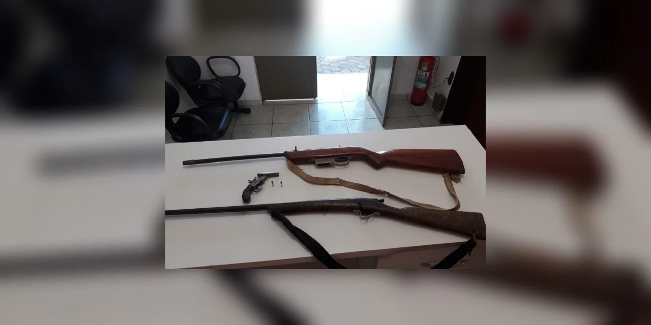 'Operação Barra Mansa' apreende armas de fogo e pássaros silvestres em Tibagi