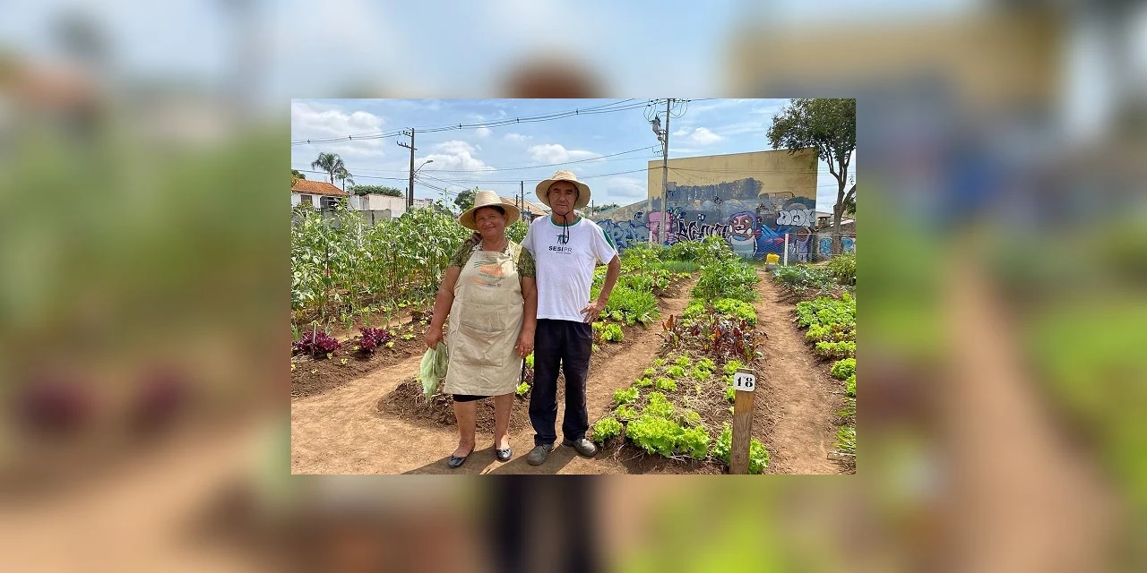 Agricultura familiar do Paraná tem apoio da Copel