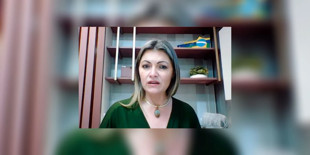 "Nunca desmoralizei ou fiz algo inconstitucional contra o STF ou o Congresso", diz deputada Aline Sleutjes