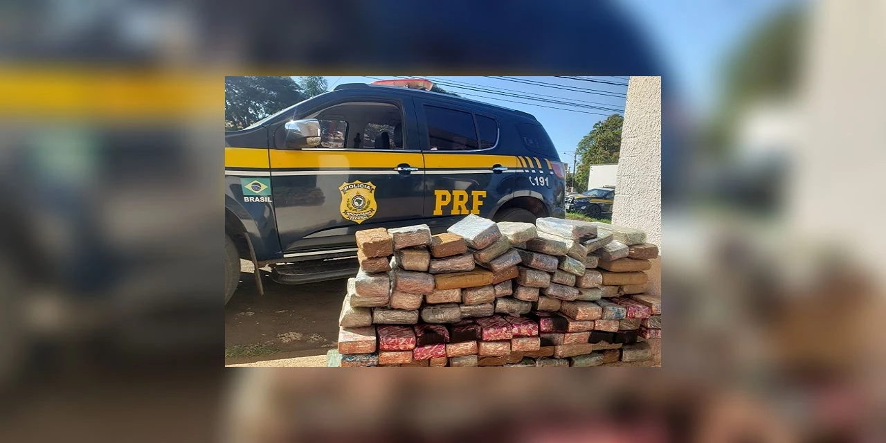 Operação Flagellum: Em menos de 24 horas, PRF apreende quase duas toneladas de maconha no Paraná