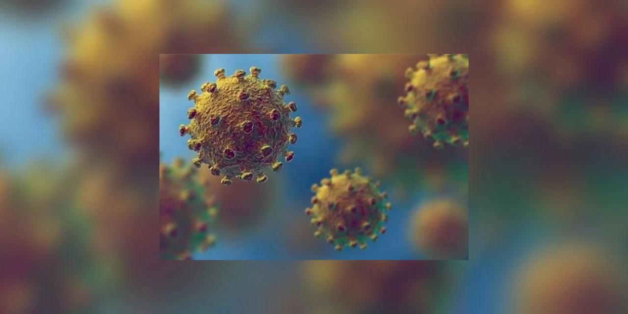 Brasil ultrapassa 1 milhão de infectados  e 48 mil mortes por Covid-19