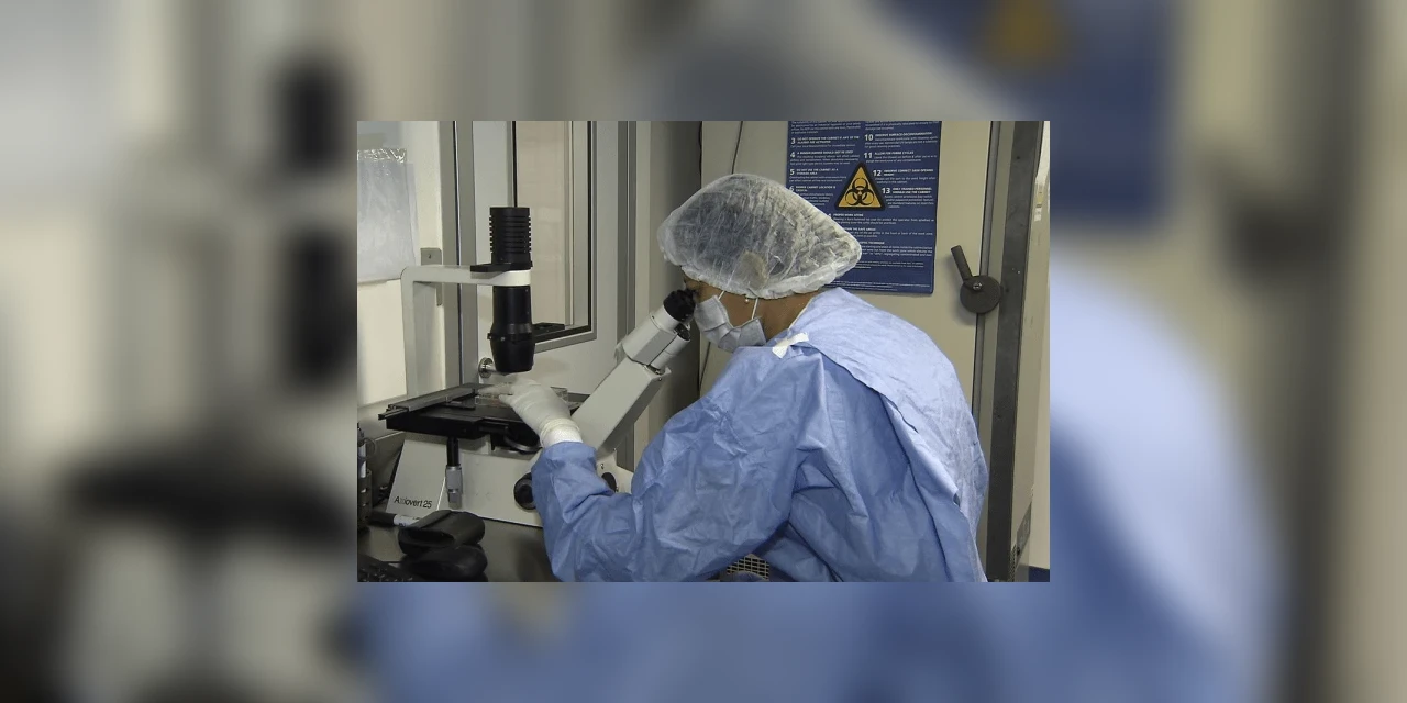 Pesquisadores da PUC-PR iniciam estudo sobre o uso de células-tronco no combate à Covid-19