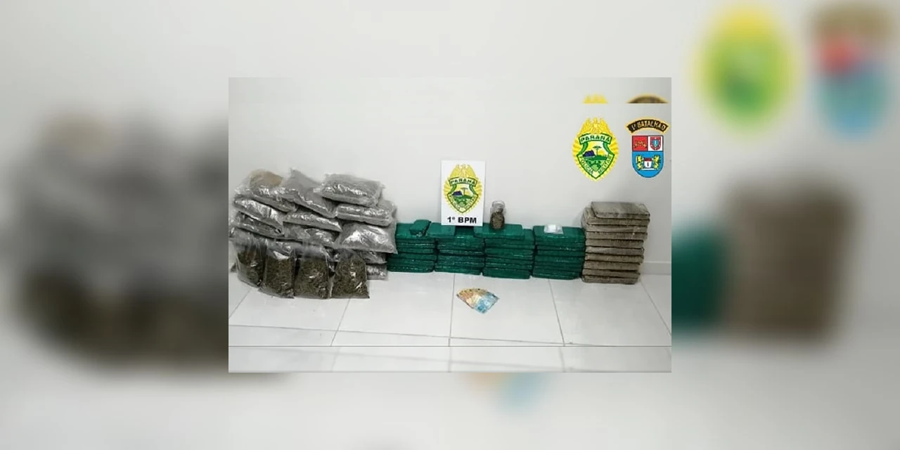 PM apreende versão pouco usual da maconha em Ponta Grossa