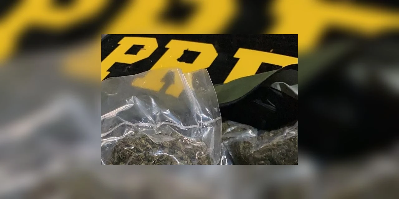Operação Tamoio II: Em quatro ocorrências, PRF apreende 12kg de drogas no Paraná