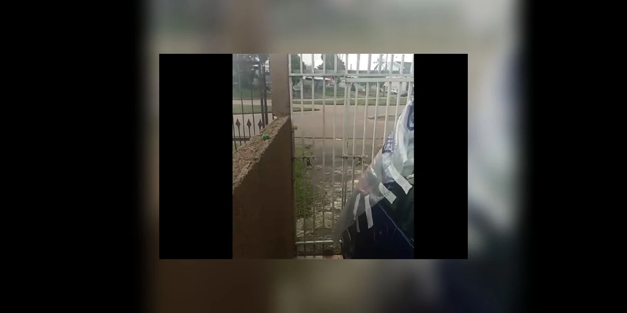 Vídeo: Filho atira cinco vezes contra casa da mãe; motivo seria briga por herança
