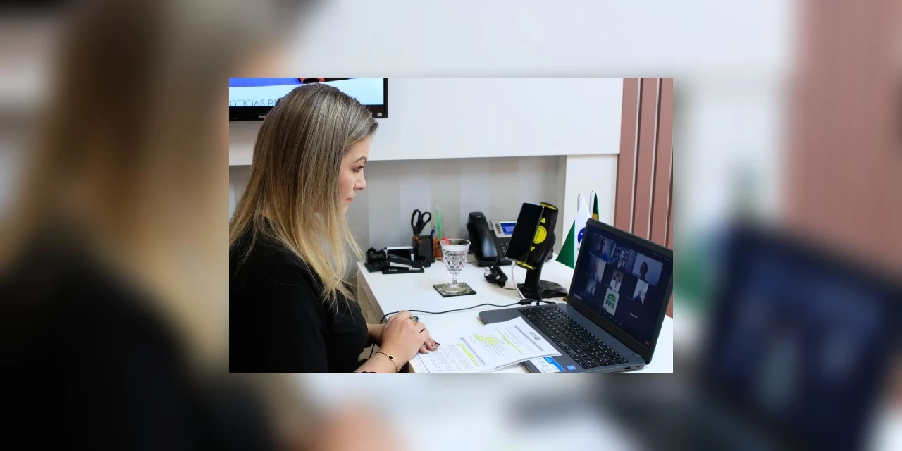 Deputada federal Aline Sleutjes promove encontro virtual com pequenos produtores de leite para driblar a crise no setor