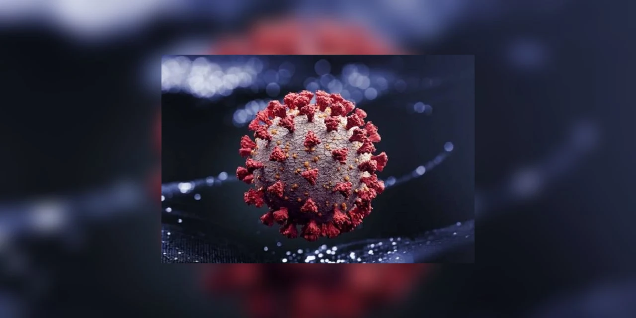 Covid-19: Projeção afirma que Paraná será o último estado do Brasil a sair da pandemia