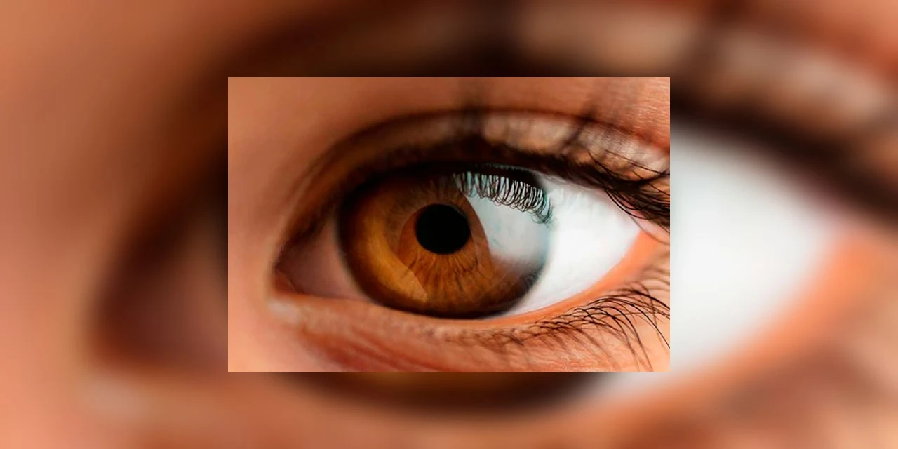 Dia 10 de julho é celebrado o Dia Mundial da Saúde Ocular; confira mitos e verdades sobre os olhos