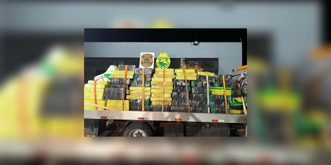 Operações com cães apreendem mais de 38 toneladas de drogas no Paraná