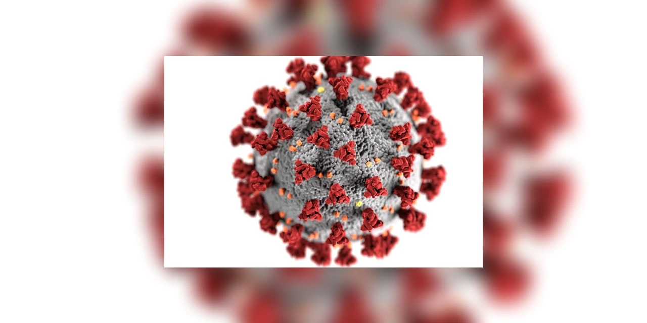 Palmeira confirma quatro novos casos de Covid-19