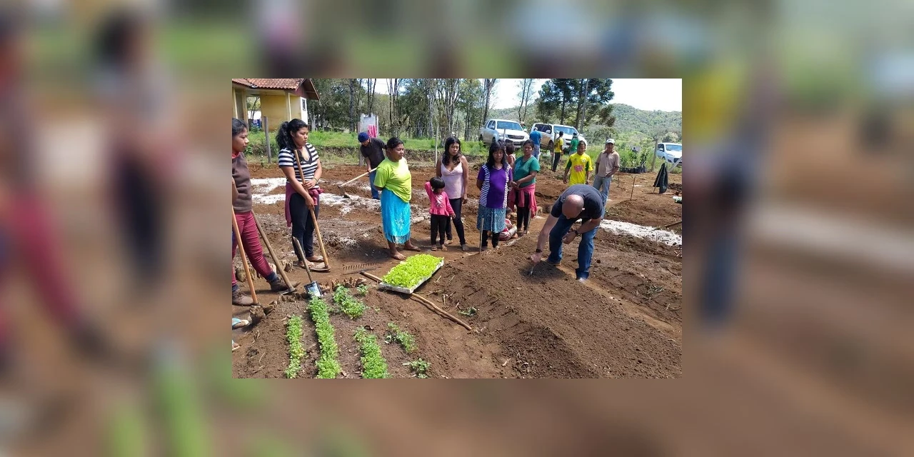 Projeto que amplia a renda de famílias que vivem da agricultura já atendeu mais de 156 municípios do PR