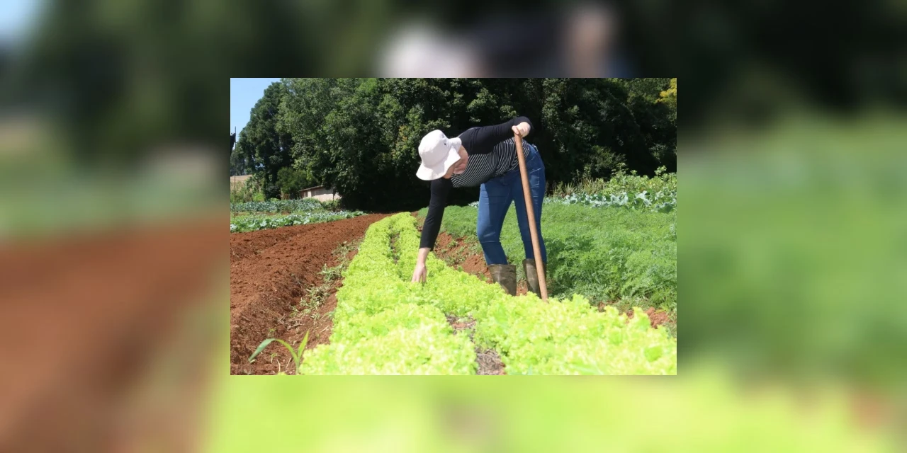 Prefeitura de Ponta Grossa prioriza compra de pequenos agricultores