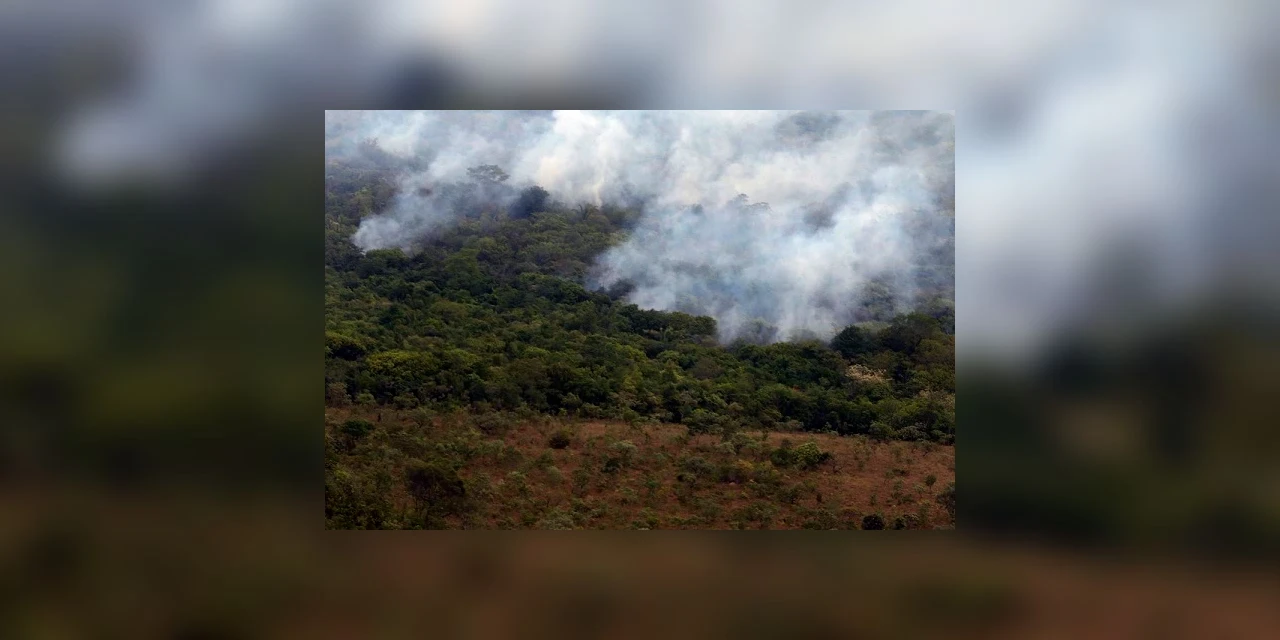 Governo Federal proíbe queimadas em todo o Brasil por 120 dias