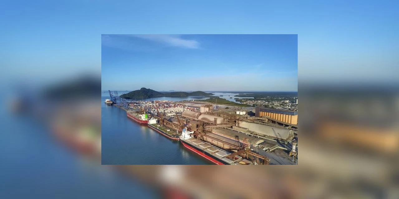 Porto de Paranaguá vai leiloar área de veículos
