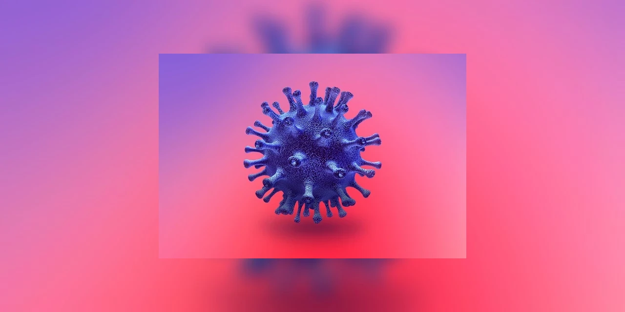 Palmeira confirma três novos casos de Covid-19 e total no município vai a 48