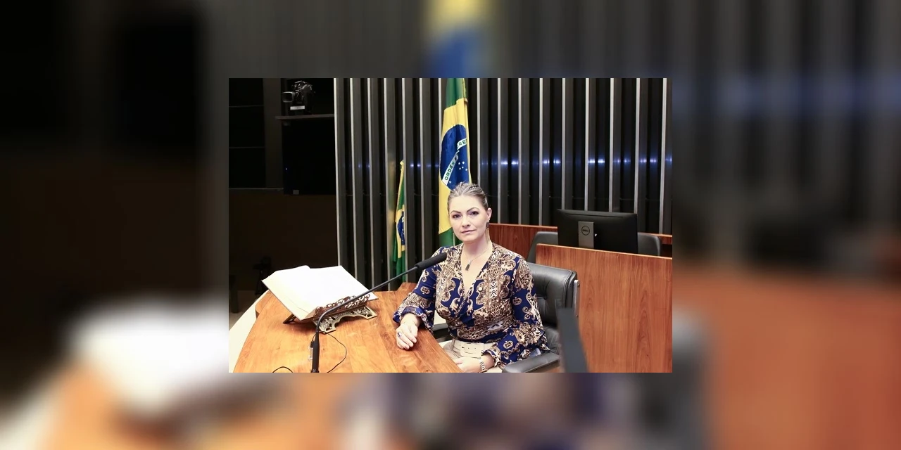 Deputada Aline Sleutjes orienta ‘sim’ para aprovação do PL de ajuda emergencial a agricultores durante pandemia