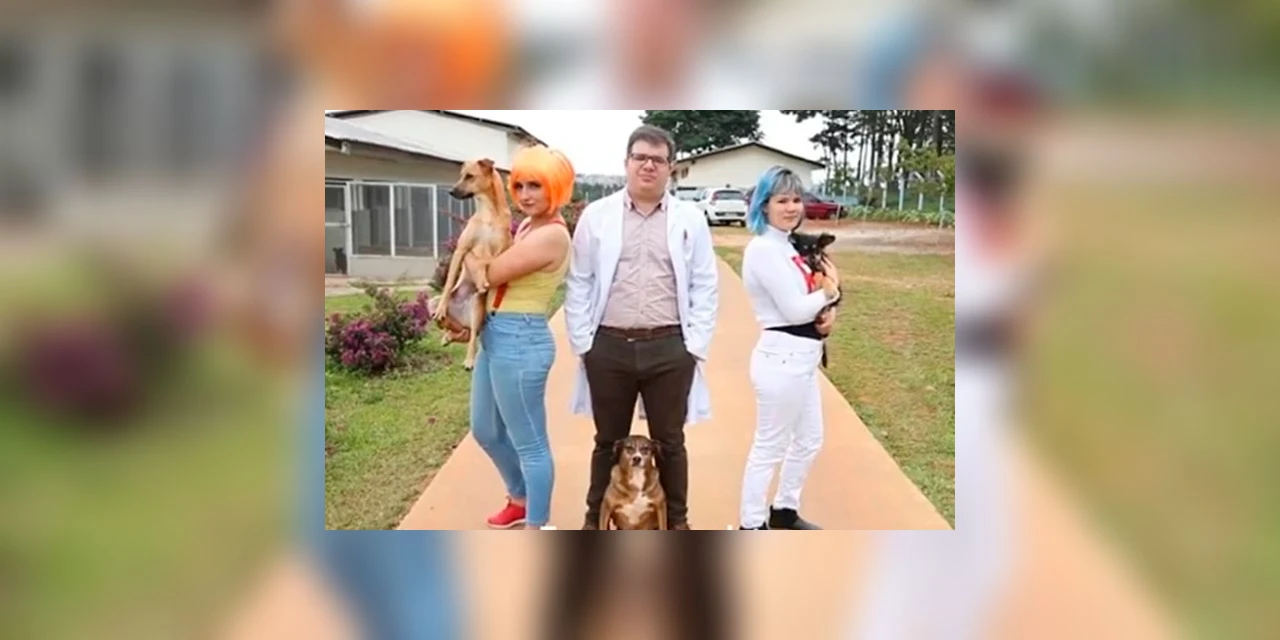 Saúde de PG alcança 3º lugar no 'Prêmio Inova Saúde Paraná' com trabalho sobre adoção de animais