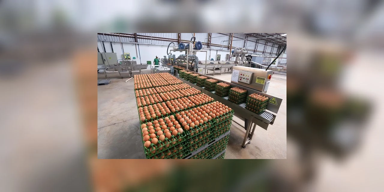 Indústria paranaense de alimentos pouco se abala com a pandemia e setores aquecem as vendas