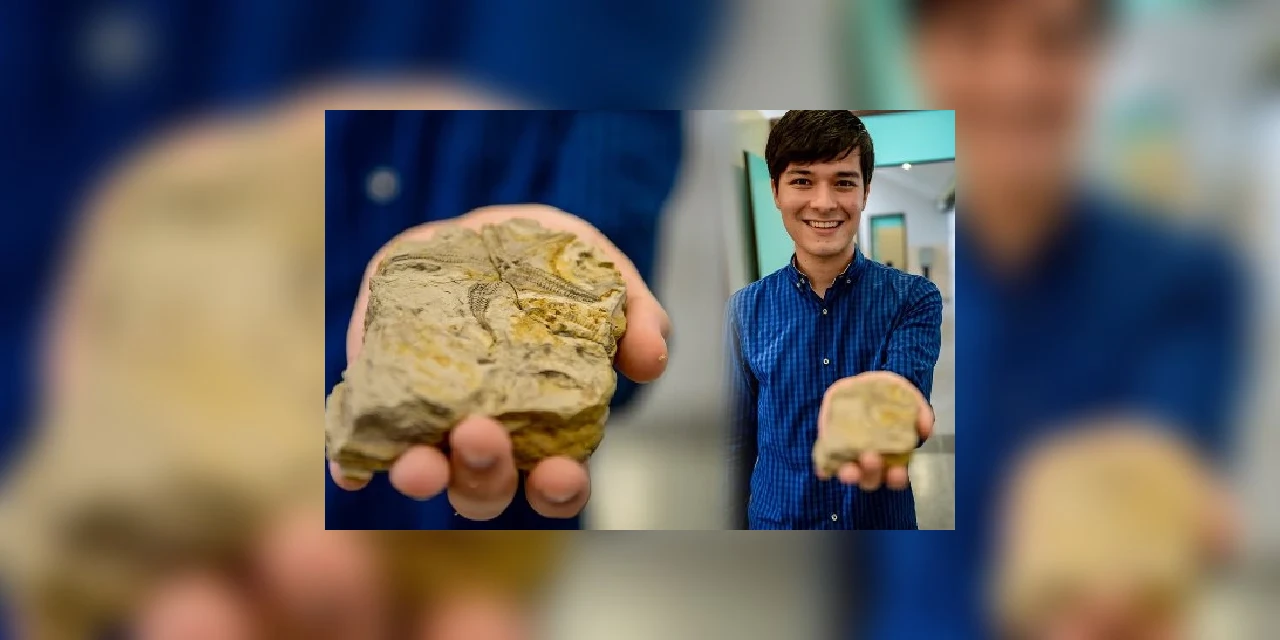 Descoberta de fósseis de duas novas espécies rende prêmio internacional a estudante dos Campos Gerais