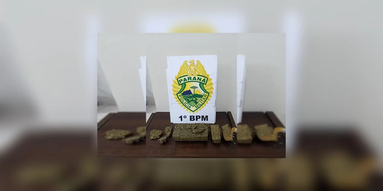 Polícia Militar encontra residência usada para preparar e vender maconha em PG
