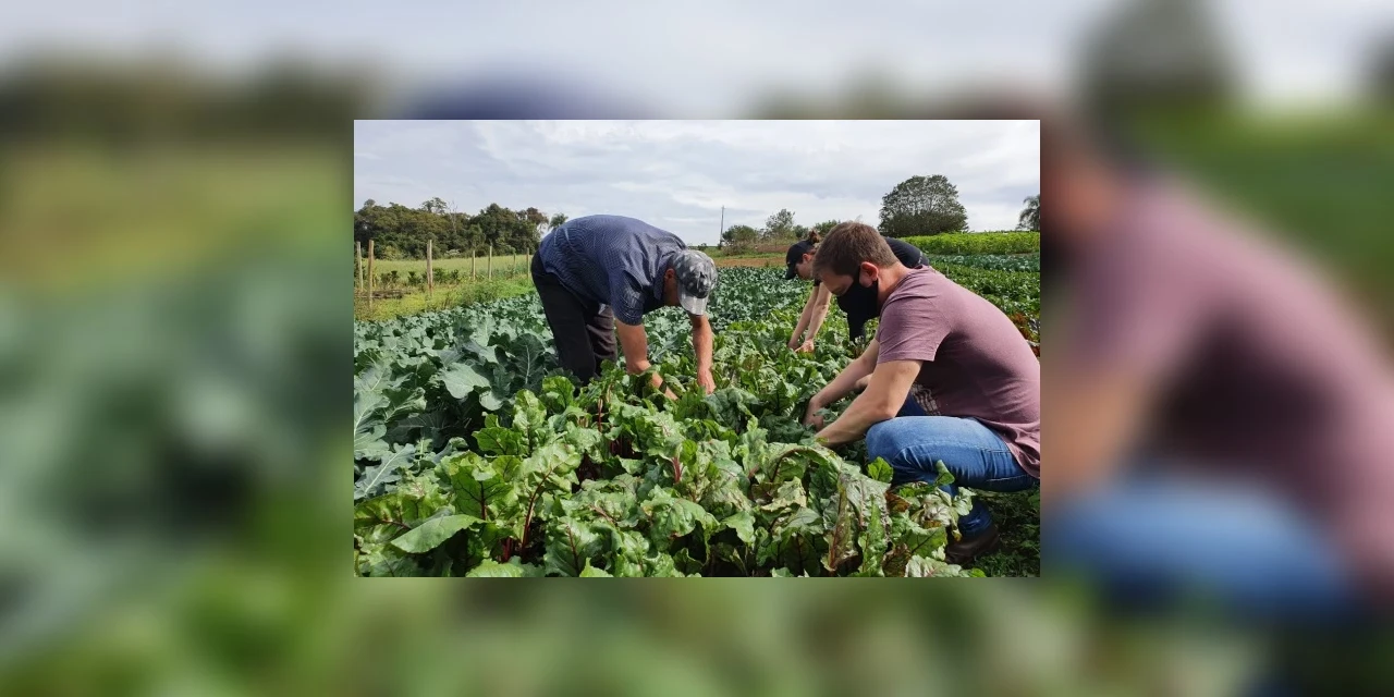 Programas da Prefeitura auxiliam na ampliação de renda dos produtores rurais