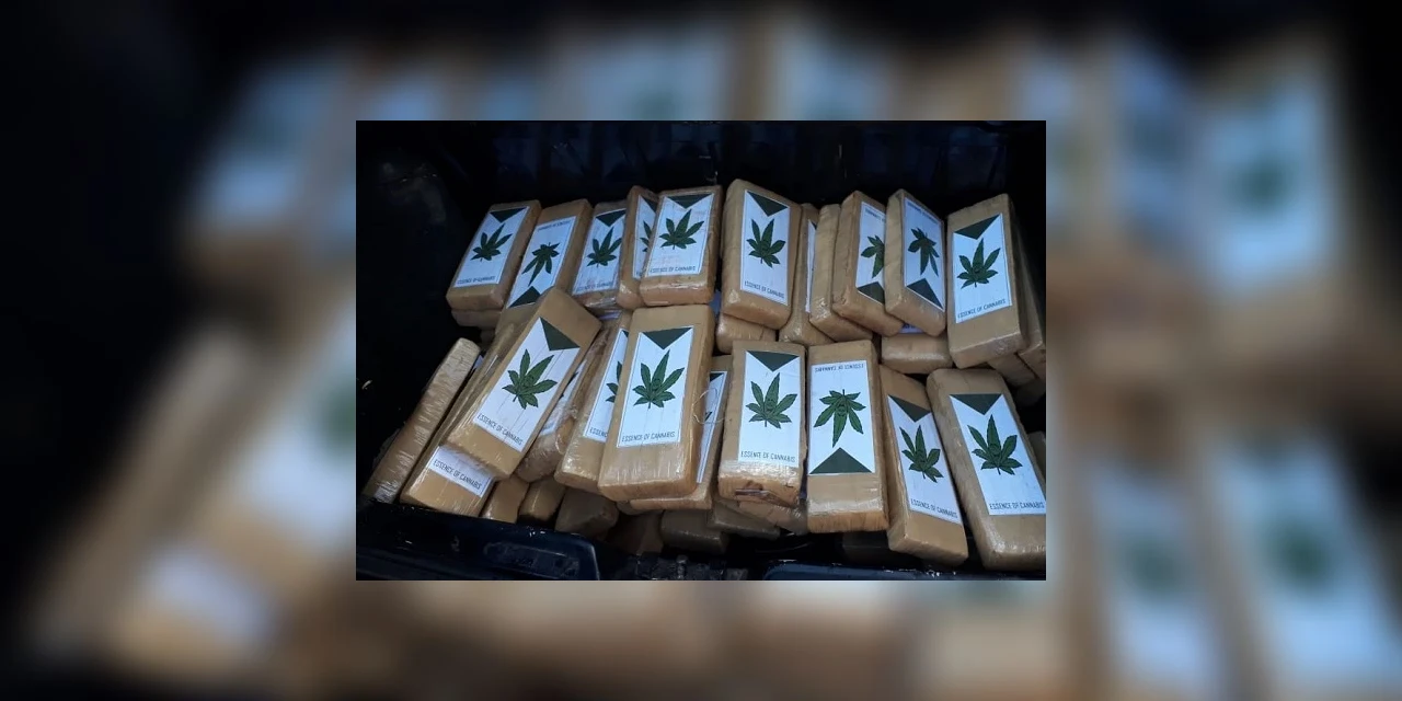 Em apenas seis meses, 124 toneladas de drogas são apreendidas no Paraná