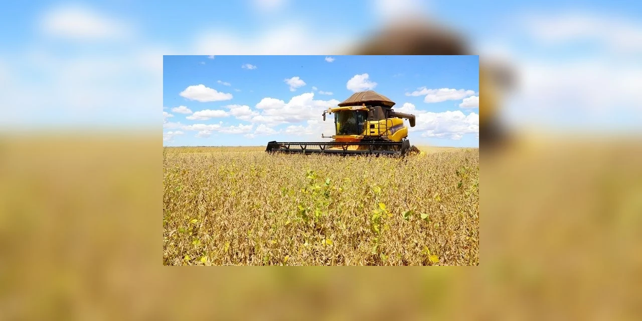 Paraná supera última safra e produz 5 milhões de toneladas a mais de grãos