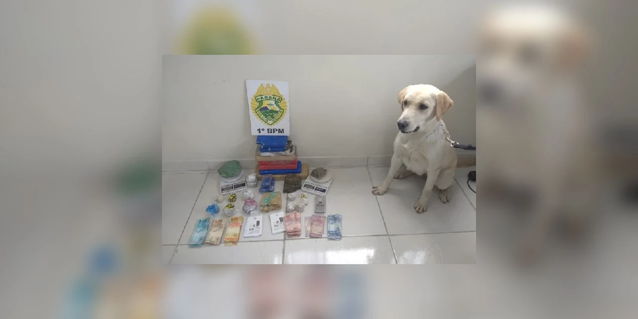 PM prende suspeito de tráfico de drogas em PG