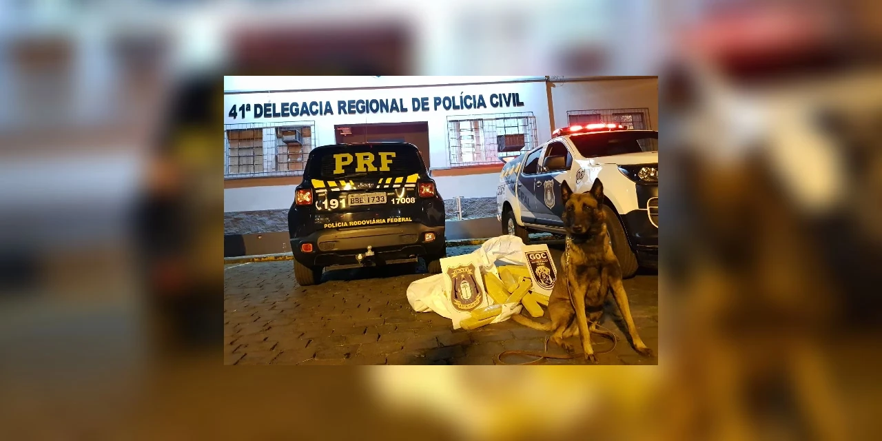 PRF e Canil da Guarda Municipal de Irati apreendem 67 kg de maconha