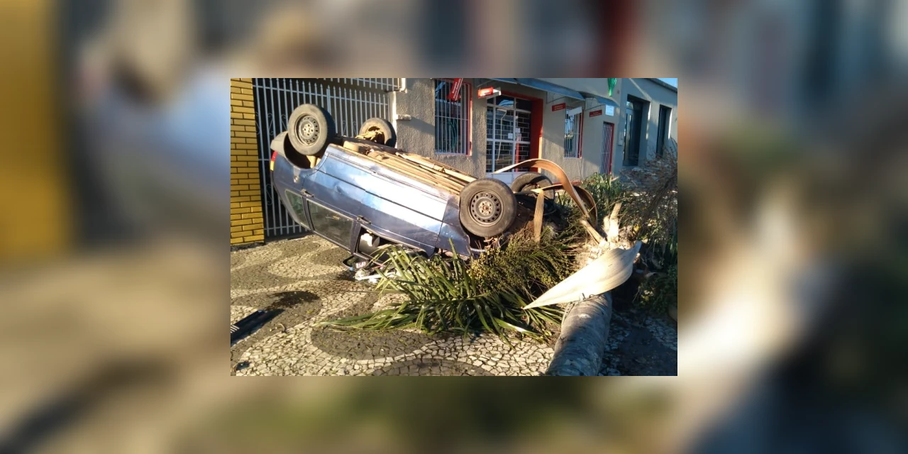 Carro capota em PG e arranca árvore com impacto