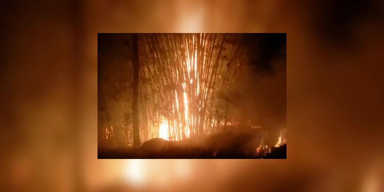 Bombeiros registram aumento de 158% em incêndios ambientais em PG