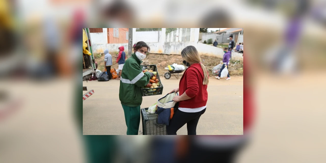 Feira Verde já distribuiu mais de 500 mil hortifrutis em 2020