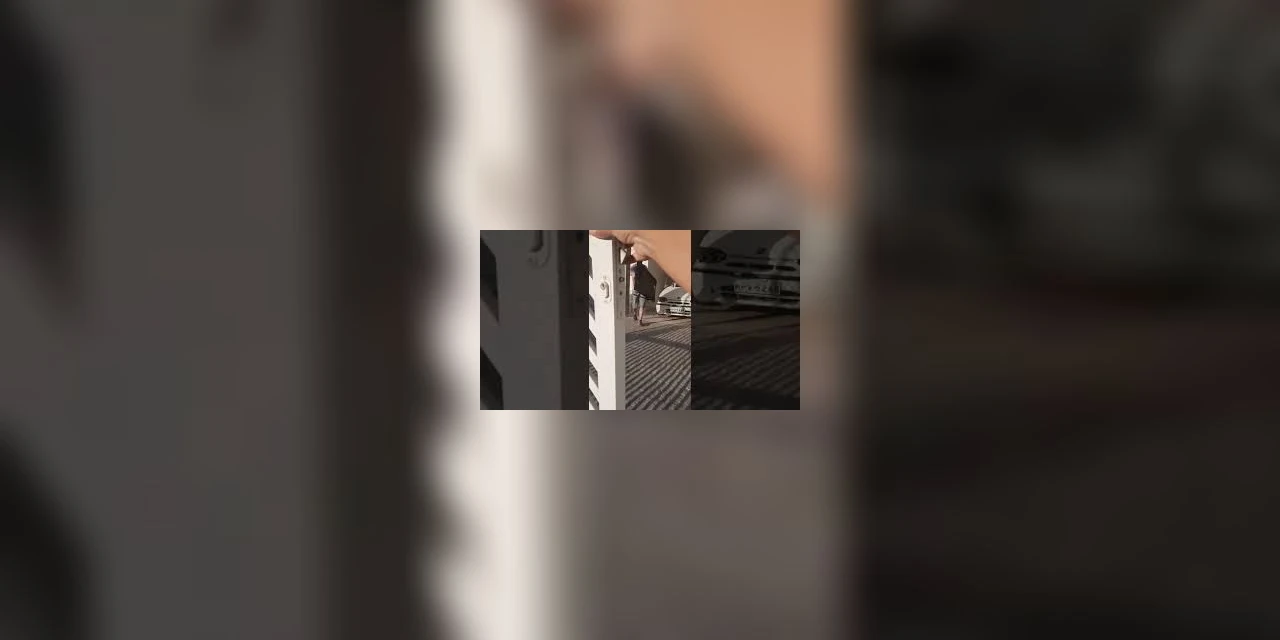 Vídeo | Com calma, mulher 'convence' bandido a não furtar televisor