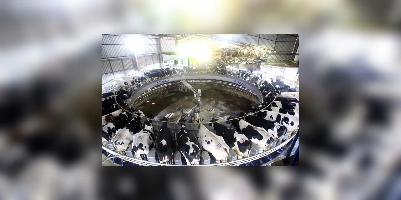 Valor Bruto da Produção Agropecuária atinge cifra inédita na história do Paraná