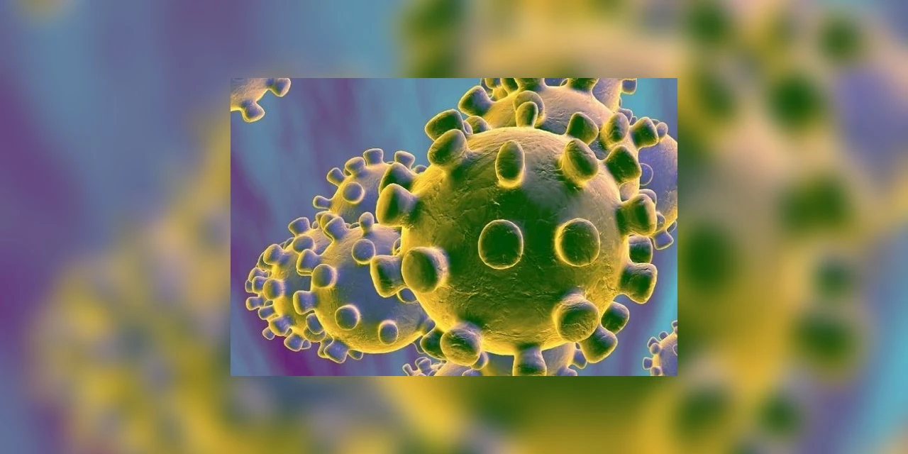 Palmeira registra 71 casos de COVID-19; 54 estão recuperados (05/08)