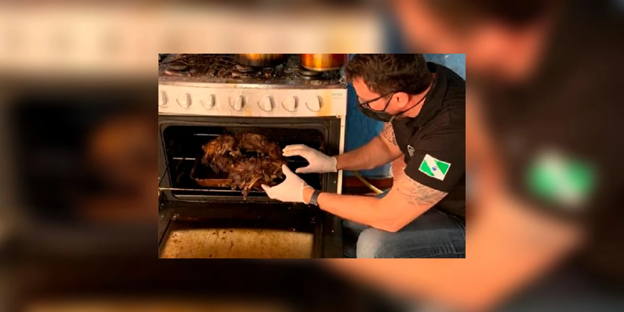 Polícia Civil investiga homem suspeito de matar, assar e comer cachorro em Curitiba