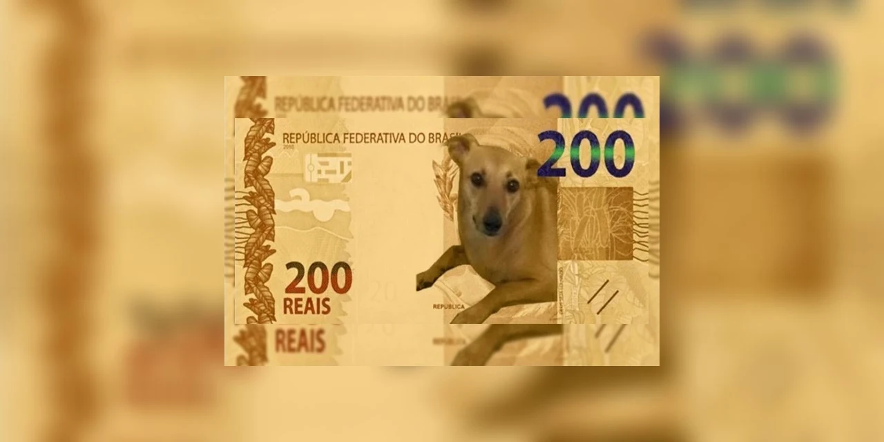 Deputado quer o famoso "vira-lata caramelo" estampando a nova nota de R$200