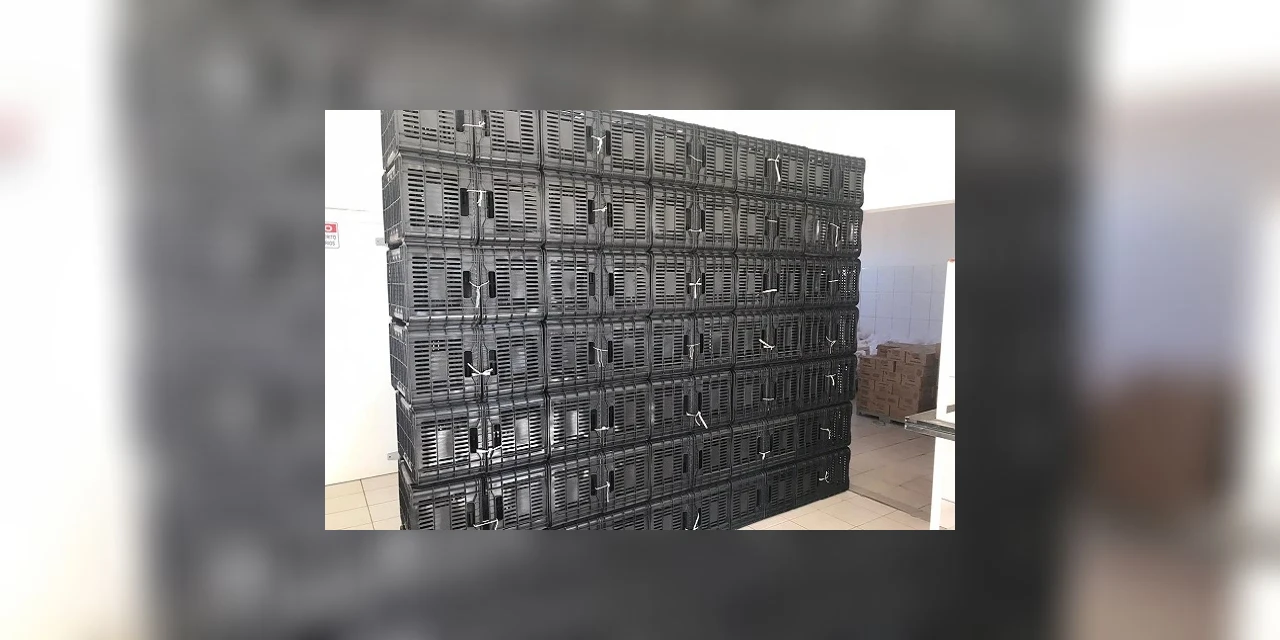 Assistência Social recebe equipamentos para o Banco de Alimentos