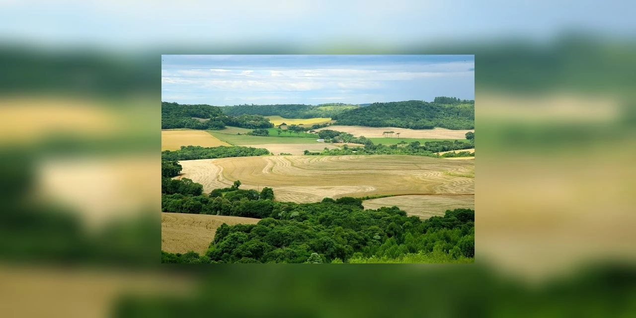 Valor de terras paranaenses cresceu 12% em 2020