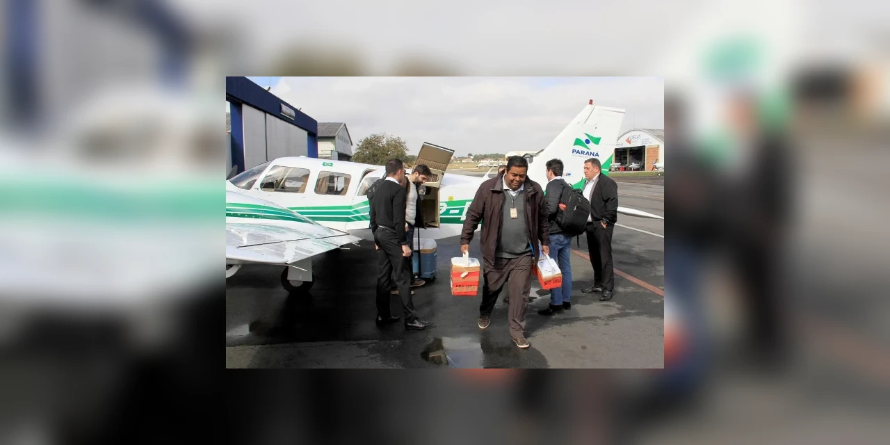 Paraná continua líder em doações e transplantes de órgãos