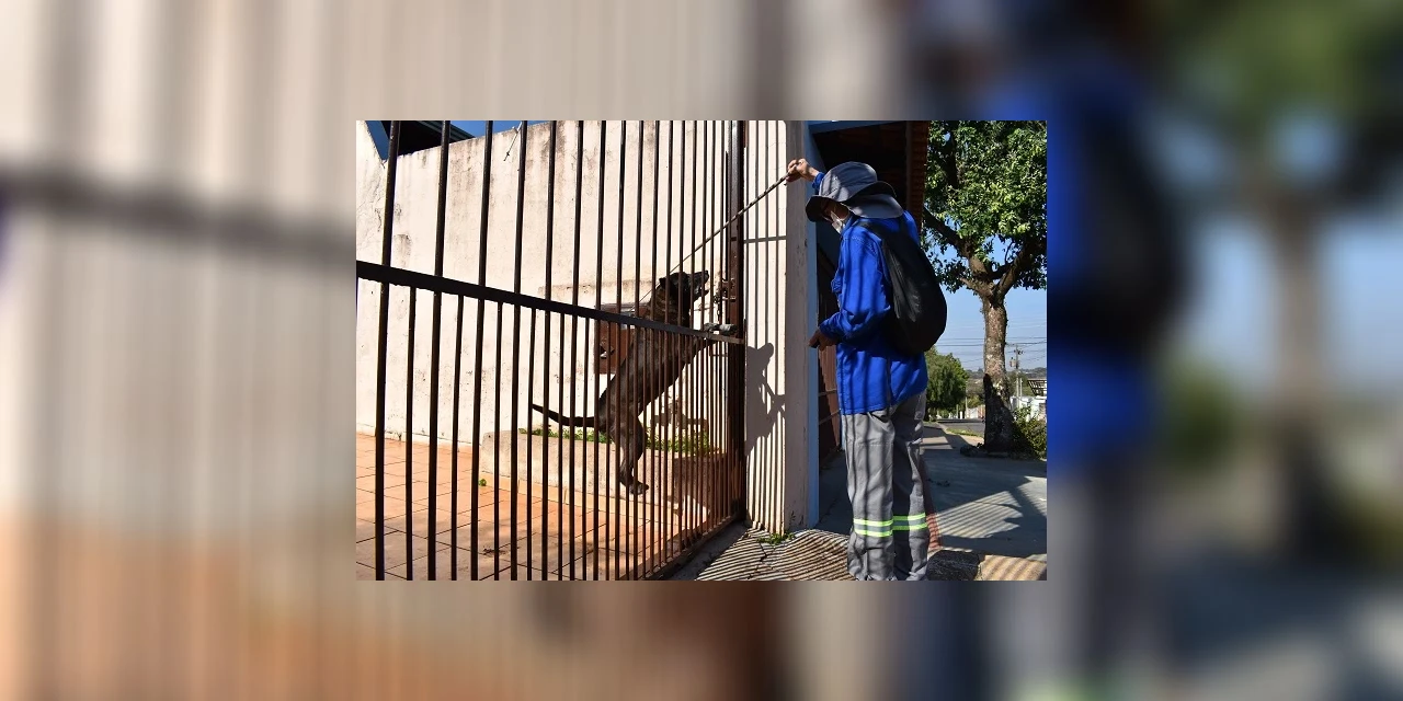 Copel relembra proprietários de cuidados para não haverem acidentes com cães e funcionários