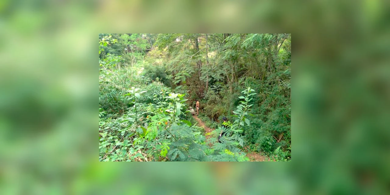 Vídeo: Cadáver é encontrado na Vila Santo Antônio em PG