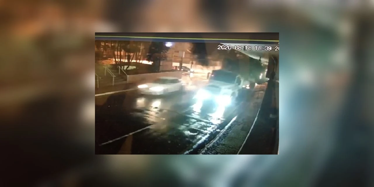 Vídeo: Câmera flagra o momento em que caminhão derruba árvore histórica de PG